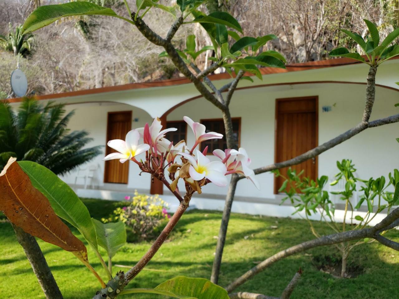 Hotel Y Club Campestre Altos Paraiso بويرتو إسكونديدو المظهر الخارجي الصورة