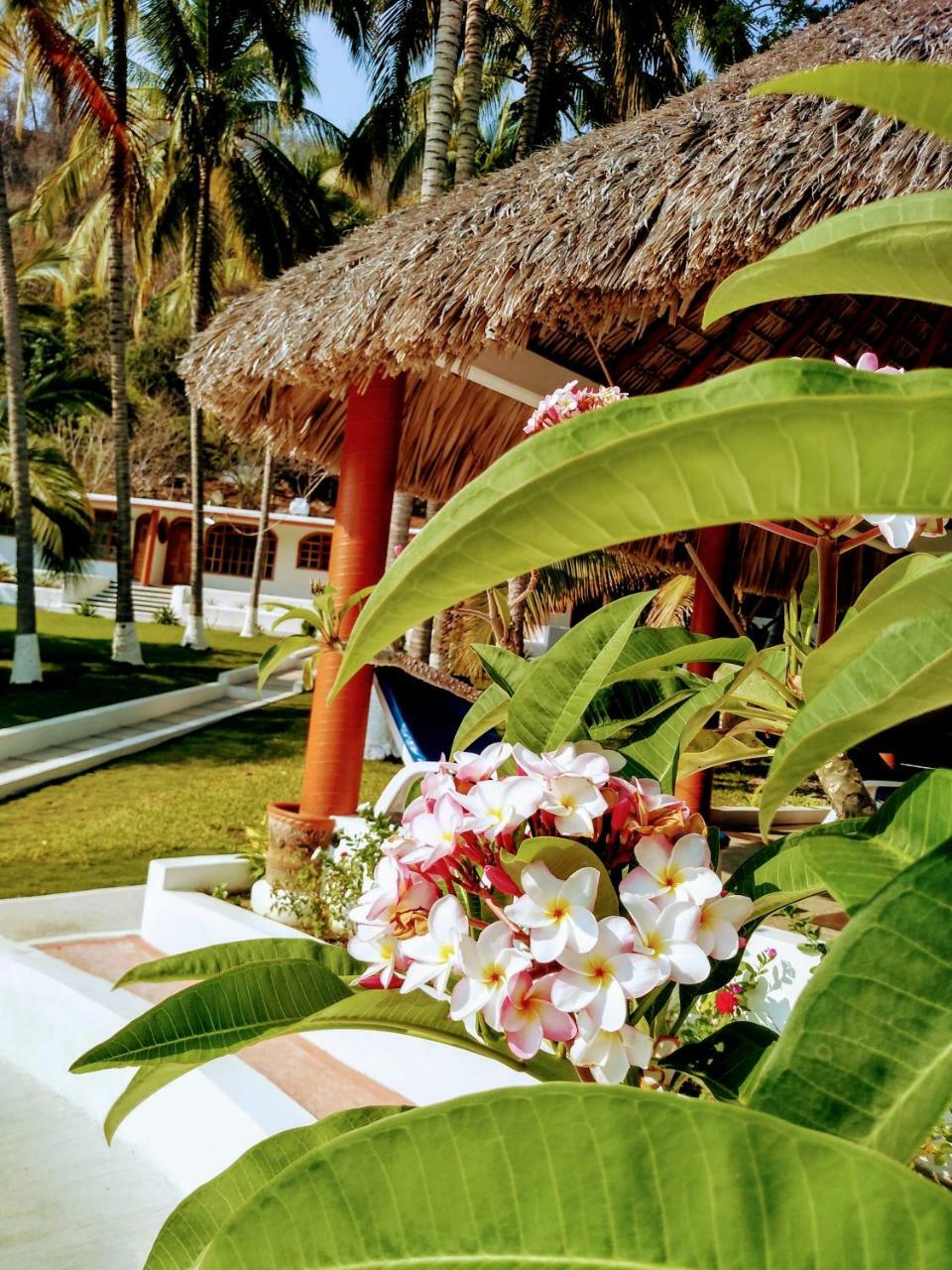 Hotel Y Club Campestre Altos Paraiso بويرتو إسكونديدو المظهر الخارجي الصورة